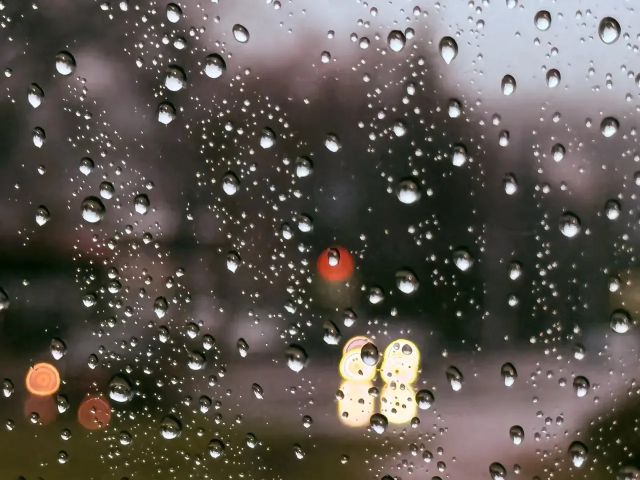 В каждом кадре – дыхание весны В каждом кадре – дыхание весны