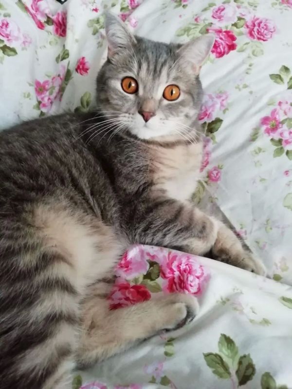 � ����� 15 ������ � ����������� ������� ������� ��������� �����