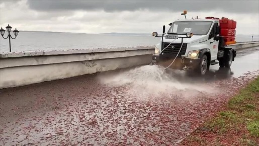 �����? �� ��������!. ���� ���������� ��������� ��������, ����� ����� � ������ ���������� ������� � �������!