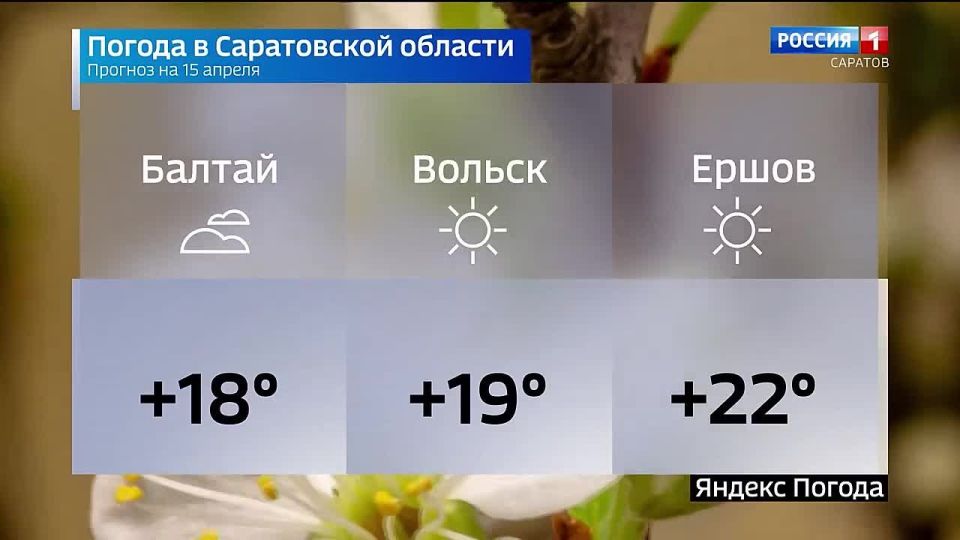 ������� ������ �� 15 ������