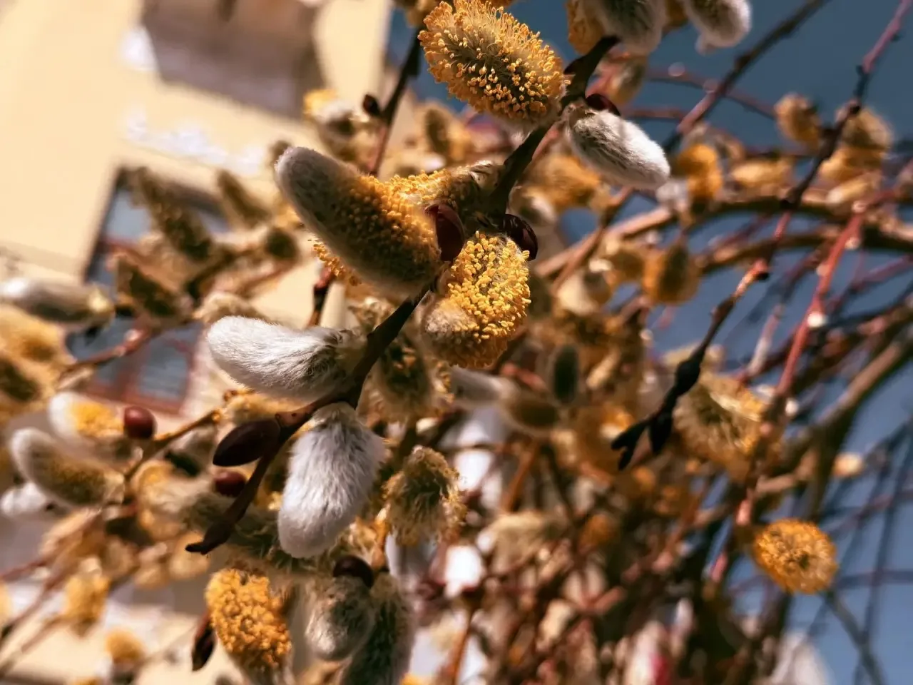 В каждом кадре – дыхание весны В каждом кадре – дыхание весны