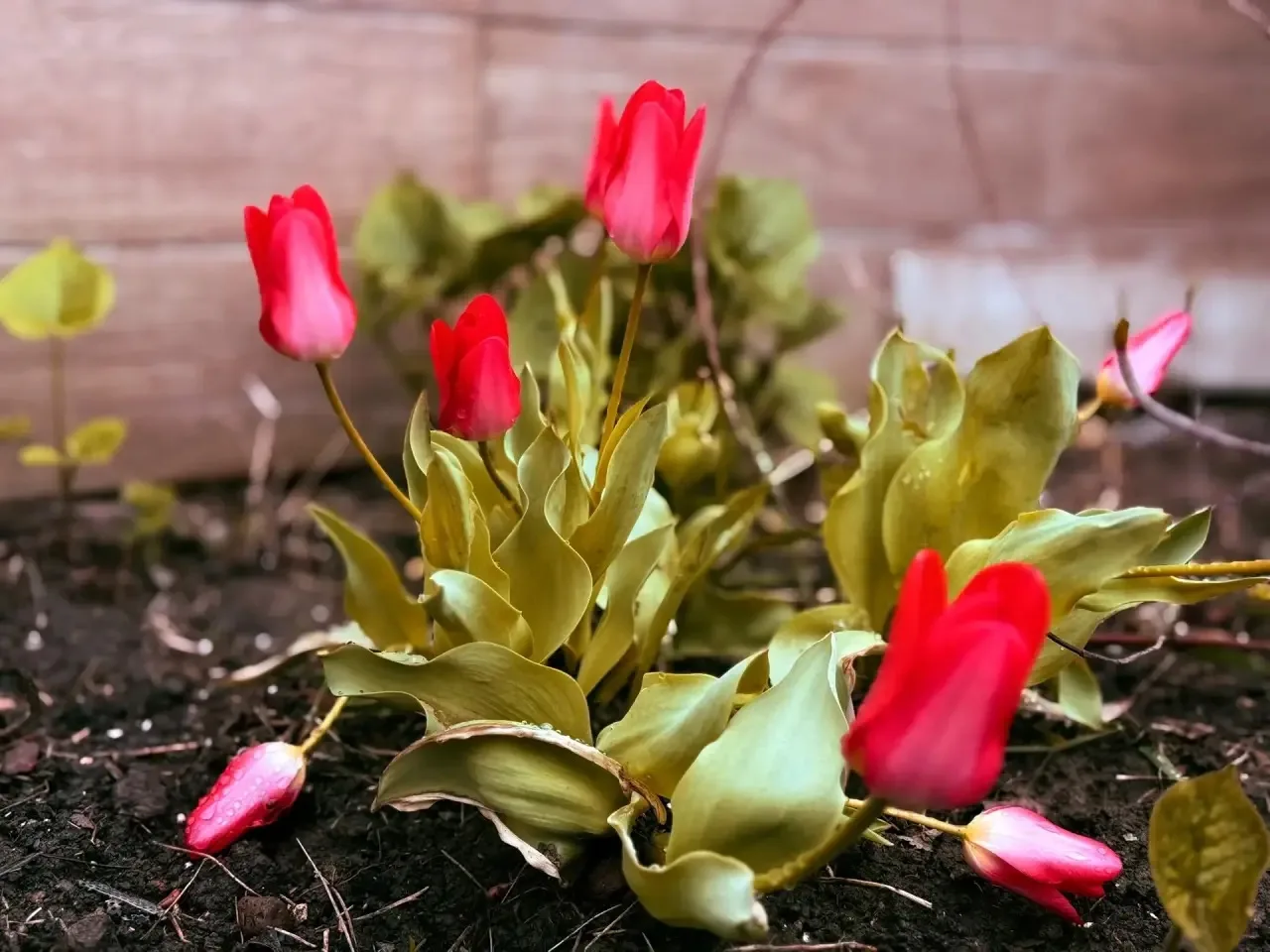 В каждом кадре – дыхание весны В каждом кадре – дыхание весны