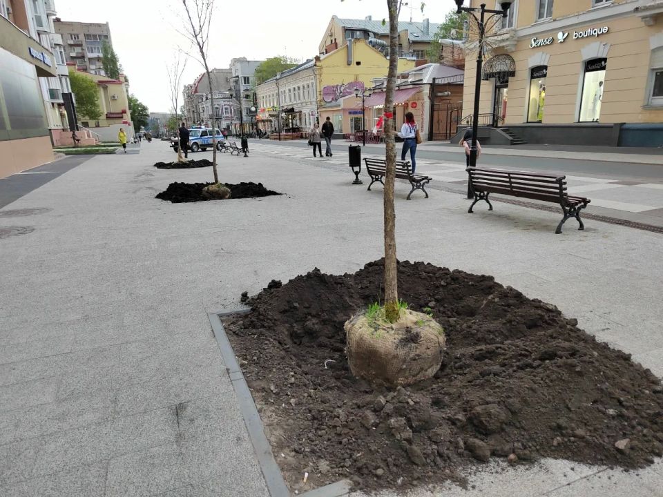 � �������� 94% ���������� �������� ��������� ����� ����