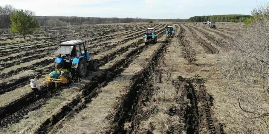 ����������� ������� �������� ������ �������� ����� ��-�� ���������� ������