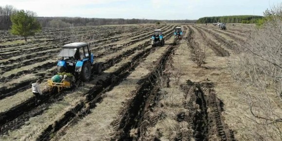 Саратовские аграрии сдвинули начало посевных работ из-за прохладной погоды