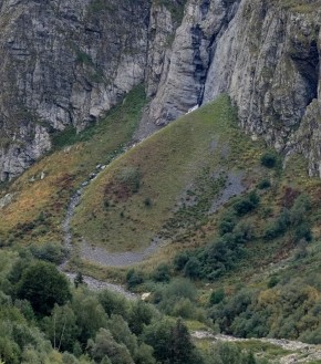 Захватывающие мгновения: Авокадо на Домбае завоевывает сердца любителей природы