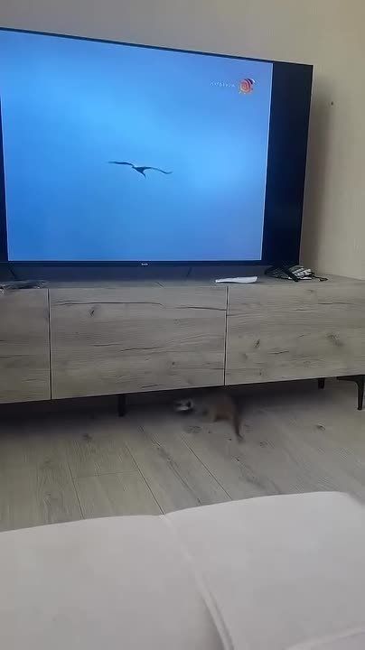 ����� ������� ������� "����� ������"