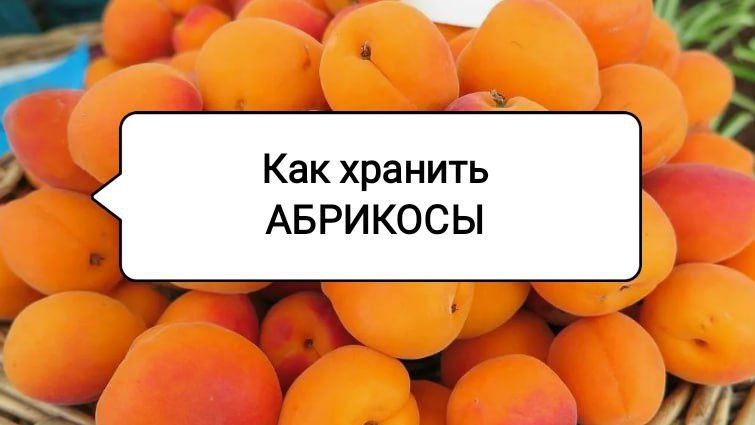 ������� ������� �������� ���������: ��� ��������� �������� � ����