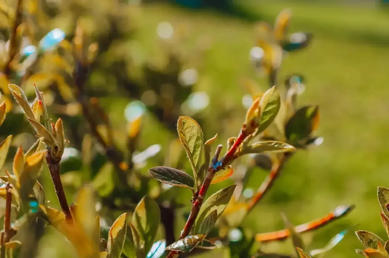 Идеальное время для прогулок Идеальное время для прогулок