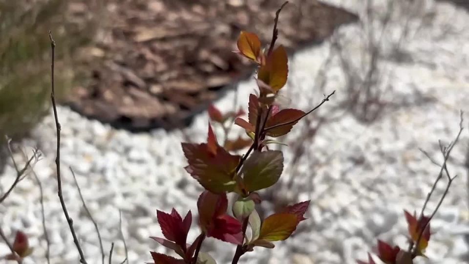 � ������� ������ ������� ������ �� ���������� ������� ���