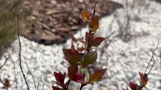 � ������� ������ ������� ������ �� ���������� ������� ���