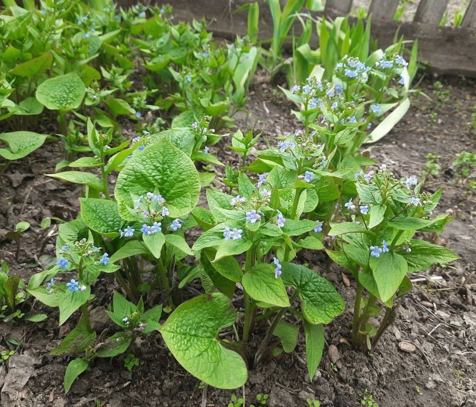 � ������� 16 ������ � ����������� ������� ������� - �����