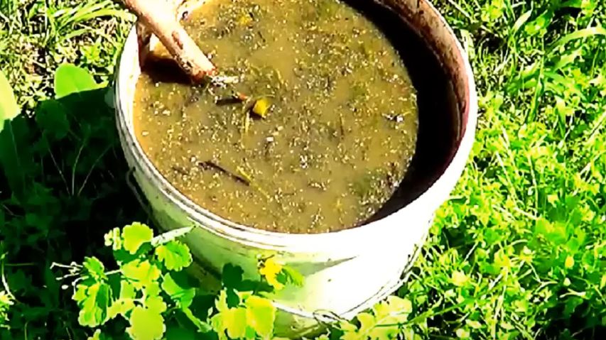 ����������� ������ ��������� ������� ��� ������