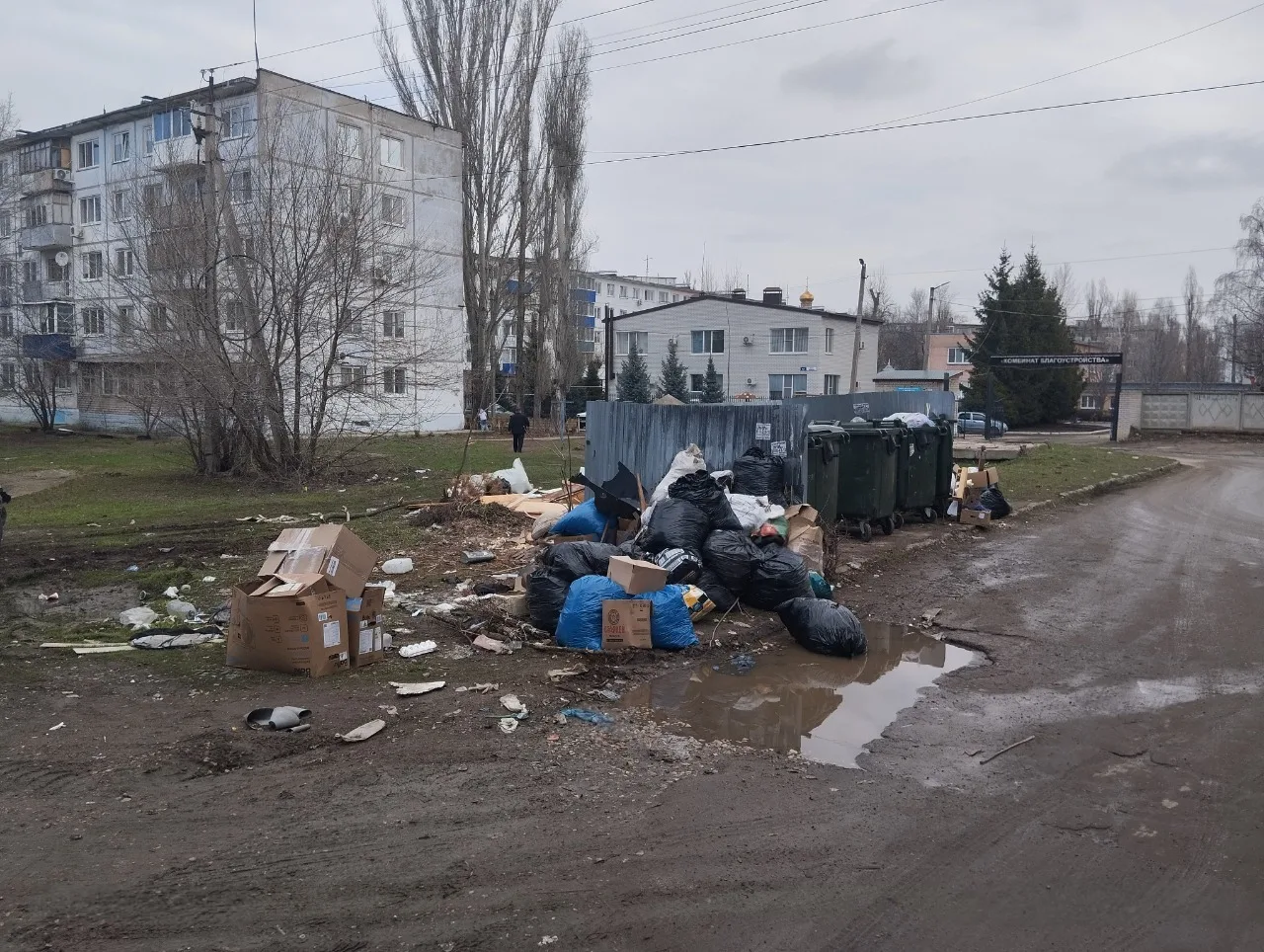 В отношении управляющей организации возбуждено административное производство за несоблюдение правил уборки территории возле мусорных контейнеров