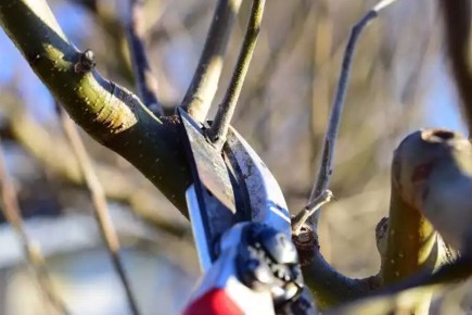 ��� ���������� � ��������: ������� ������ ��� �������� ��������� ��������