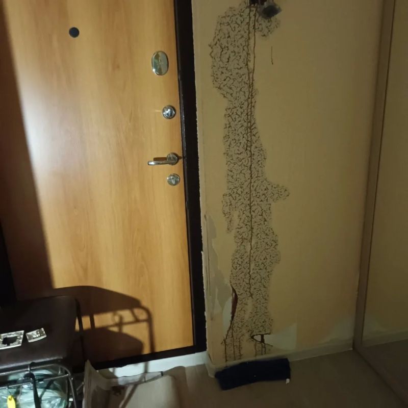 ���� ������ � �������� ������ 10 ����, � �� �������, ��� ��� ����