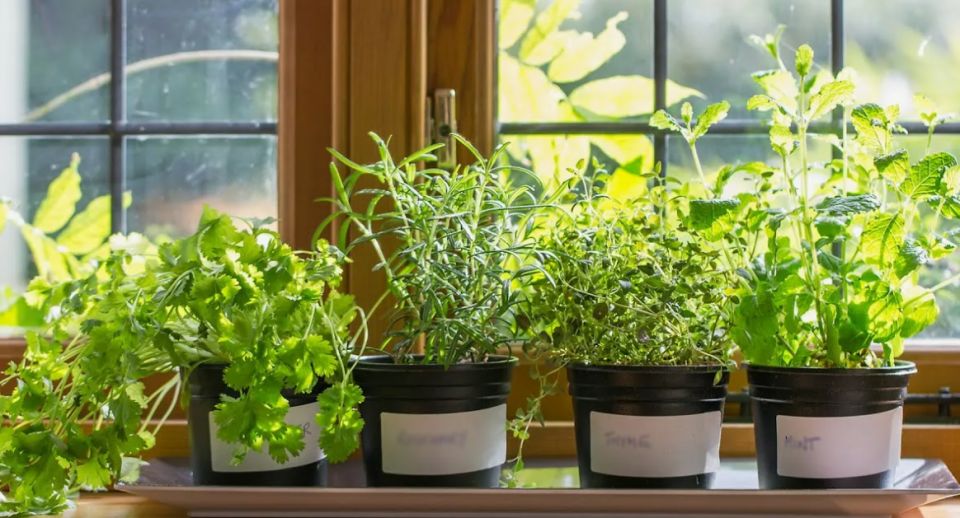 ��� ���������� ��� ���������� � ������ ����� � �������� ����������