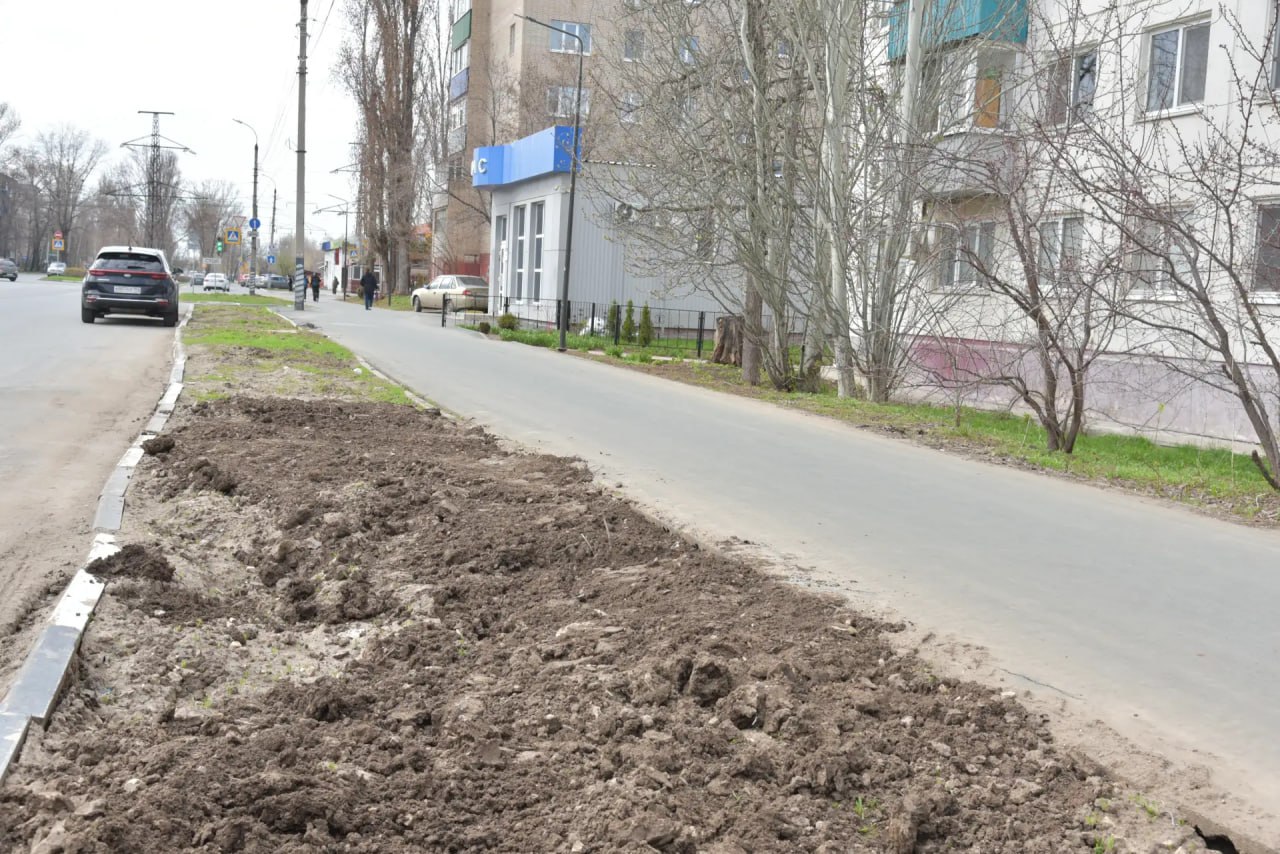 По поручению главы Балаковского района Сергея Барулина комиссия осмотрела территории, которые не были приведены в порядок после вскрышных работ По поручению главы Балаковского района Сергея Барулина комиссия осмотрела территории, которые не были приведены в порядок после вскрышных работ