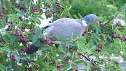 ������ ���������: ��� �� �������� ������ ��-�� ��������