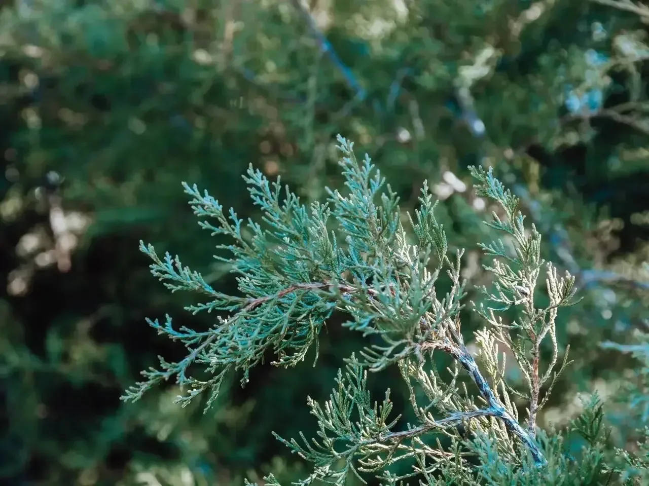 Природа пробуждается с каждым проблеском солнца Природа пробуждается с каждым проблеском солнца