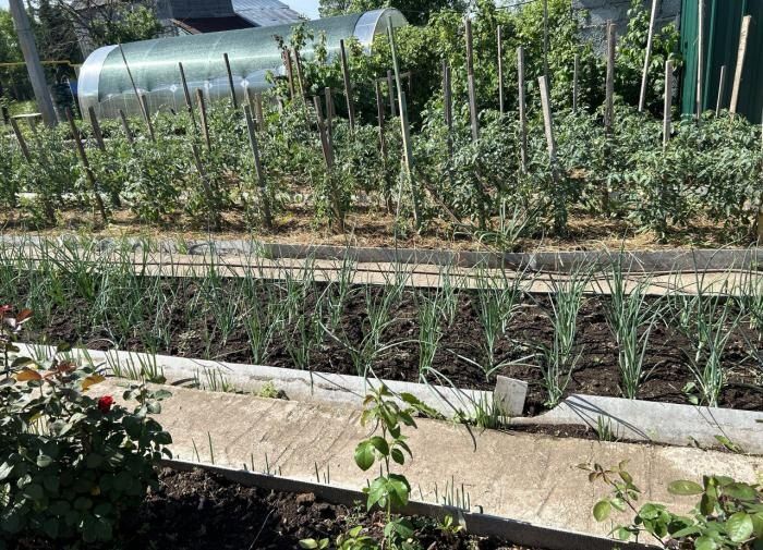 �������� �������� � ������ ����: ���� ����������� �������