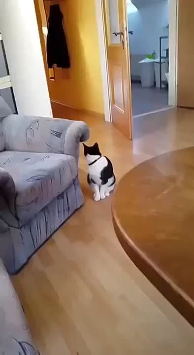 ����� �� ������ � 9:00, � ��������� � 8:67)