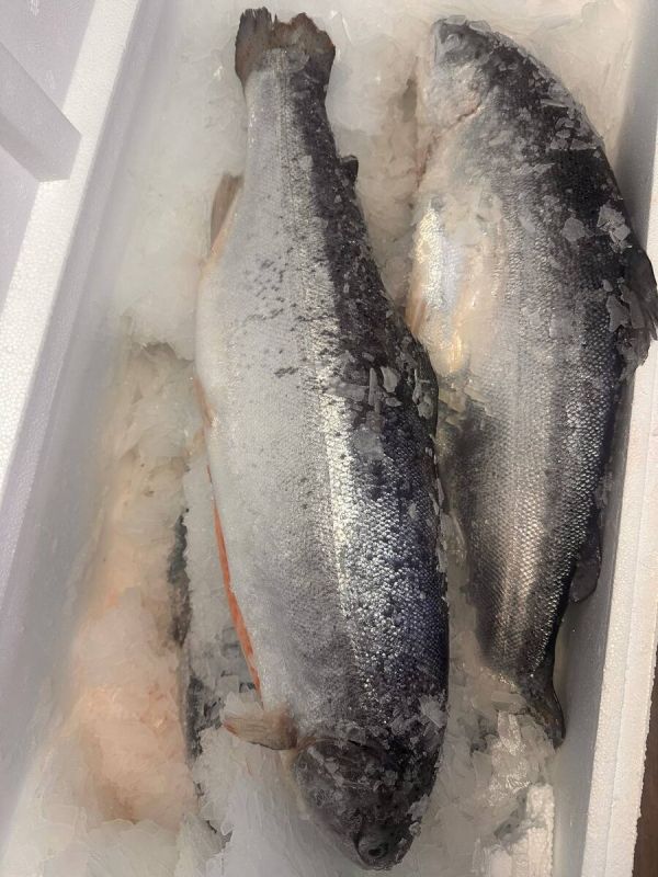 ���� ������ �� ���������� ������!