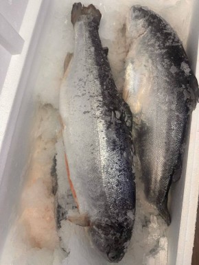 ���� ������ �� ���������� ������!