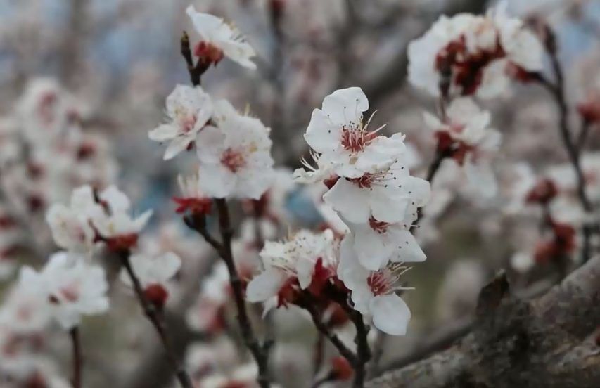 �������� �������� ����������� � ���������� ������� �������