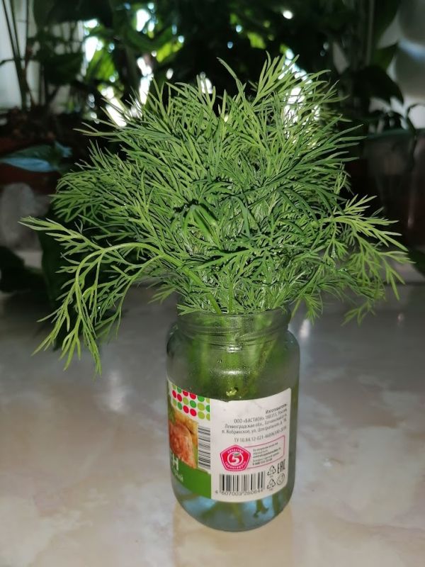 ��� ��������� �������� ���������: �������� � ���������������� ������