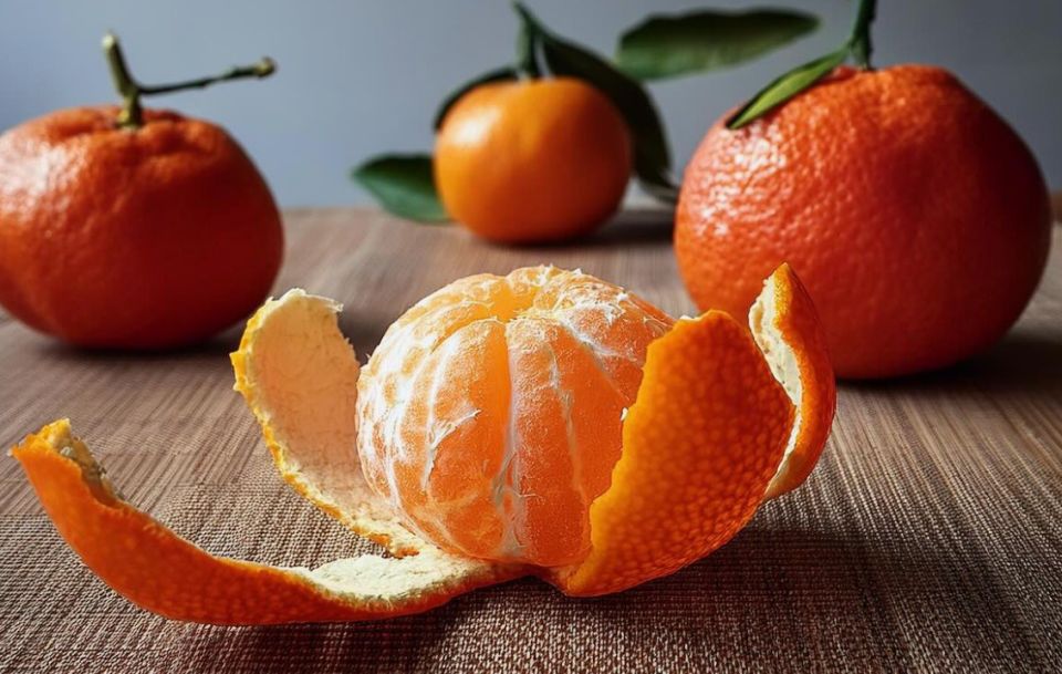 ������������ �����: ��� ������� ������ � �������� ���������� ���������