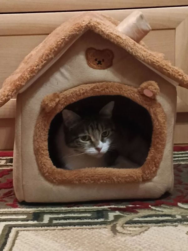 � ������� 18 ������ � ����������� ������� �������� ������