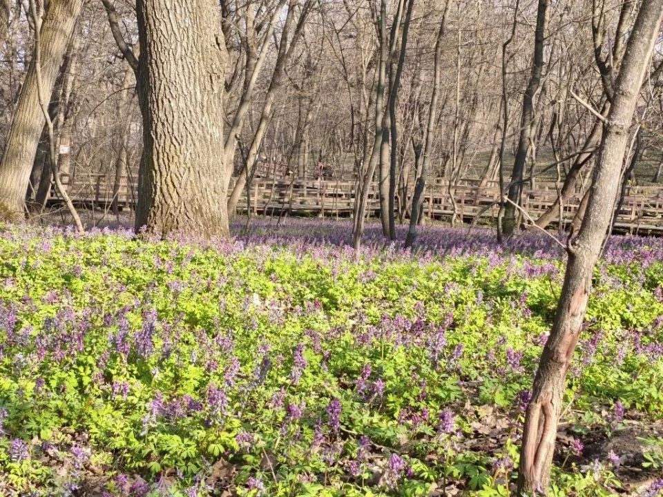 � �������� �������� �������� ���������� �� ����� �������