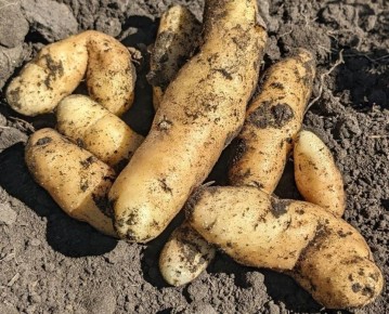 ��������� ����� ���������: ������� � �������������