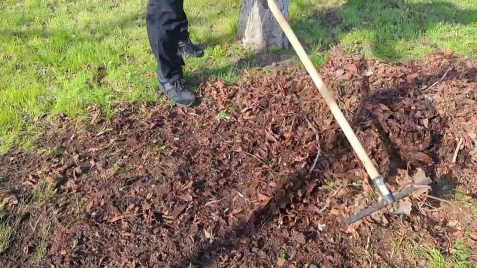 �������� ��������� � ������������� ����������, �������������� ������������ ������� ����������