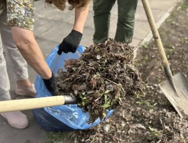 � ����������� ������� ������ �������� ����������