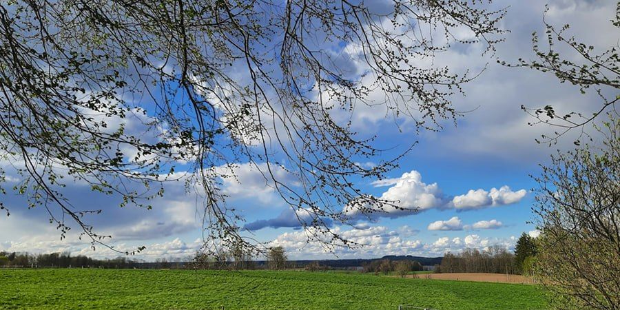 ������� ������� � �������� ��������������� ��� �������