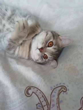 � �����������, 19 ������, ����� ������� � ����������� ������� ����������� �������