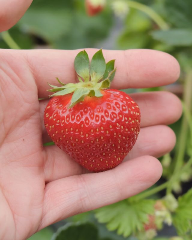 ��� ������ �������� �� ��������: ������ ������� ���������