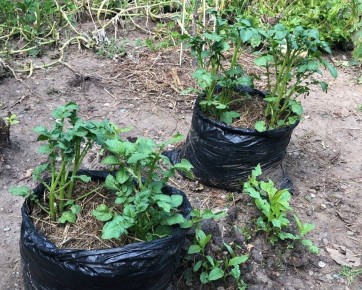 ��������� ��� ������: ��� ��������� ������ � �����������