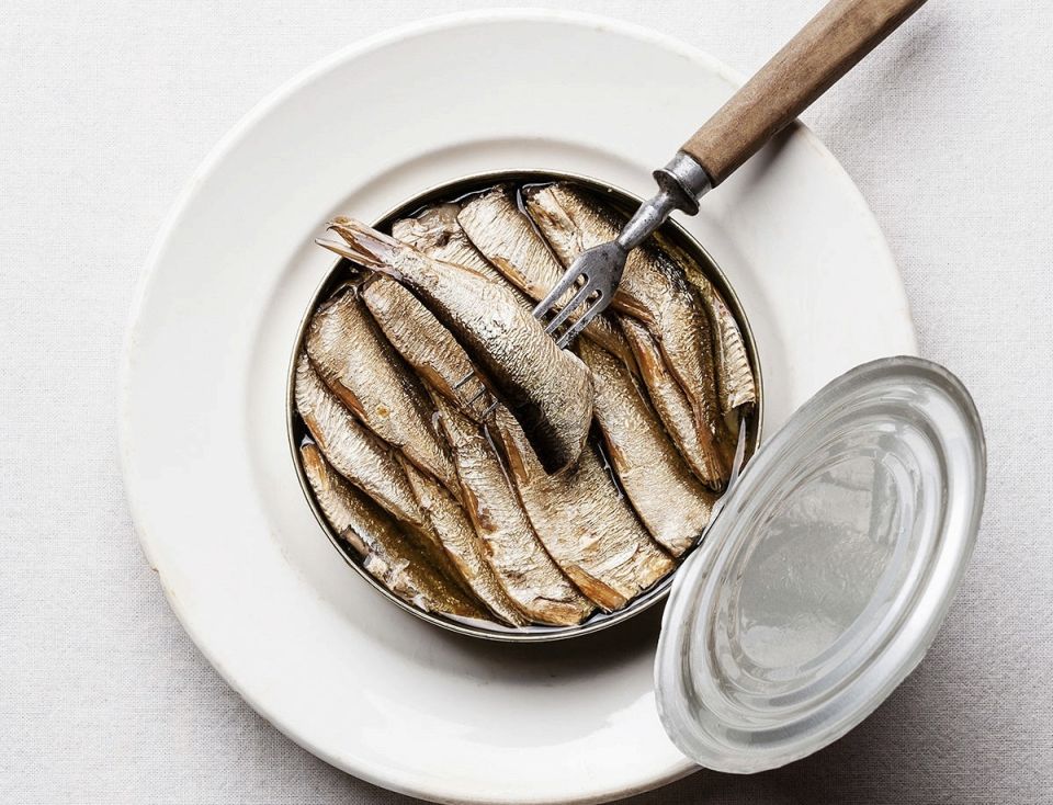 ������: ��������� � ������� ����