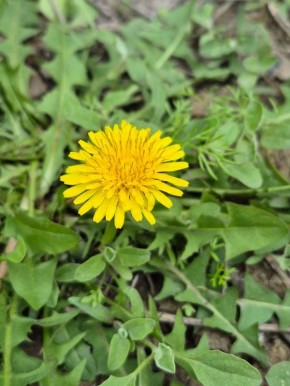 ��������� ������� ������������ ������