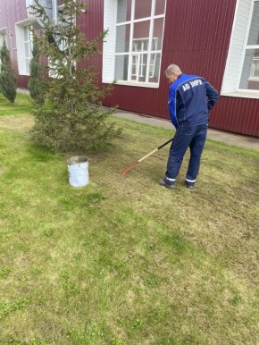 ������������ ����������� ������ ��������� �������� ������� � ����������