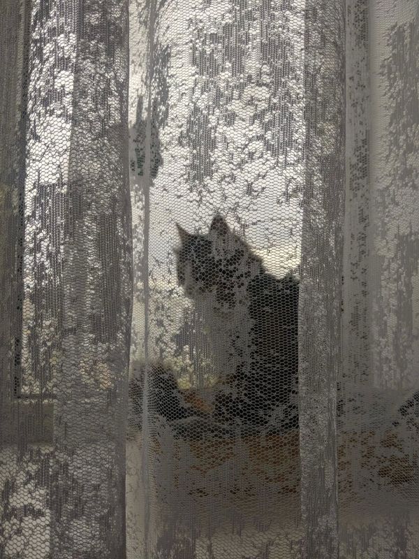 � ����������� ���������� ������� ������� �����