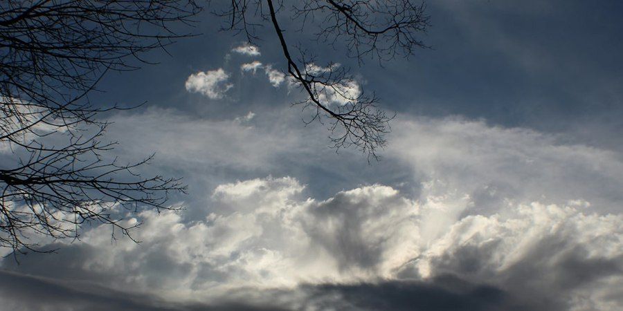 � ����������� ������� ��������� ����� � �������