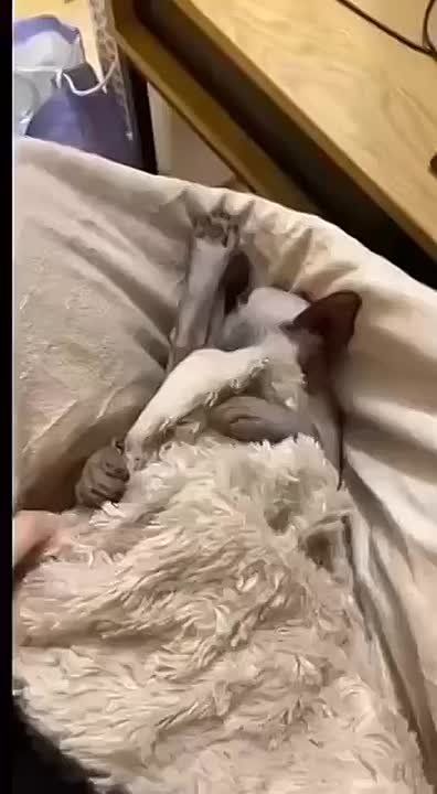 � ������ �����)