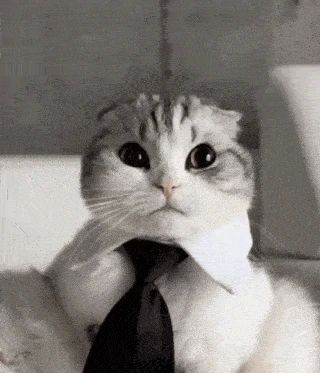 ����� �������� ����������� ����������� ��������� ��������� �� ������ �� �����-����