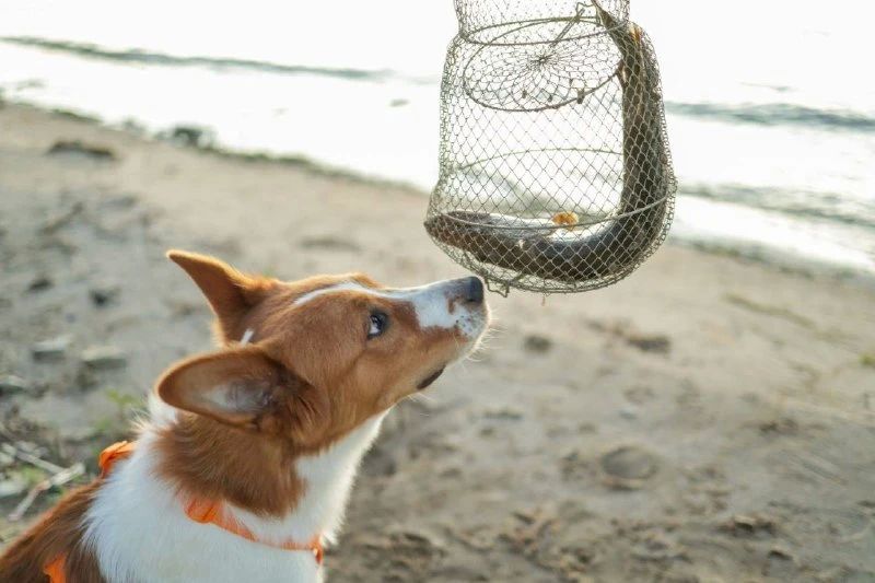 �� ����������� ������������� ��������� ���������� ������