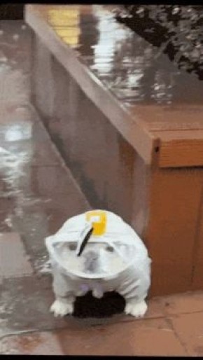 ����, ����� � �����: � ��� ���������� ��������� �� ���� ������