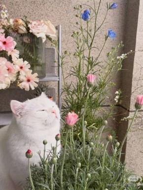 �� ������� 21 ������ � ����������� ������� ��������� ����� �� ������